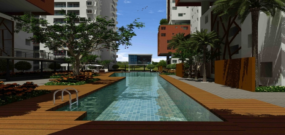 K S Ranganath_Osian chlorophyll_swimming pool View 2_27.11.1.jpg